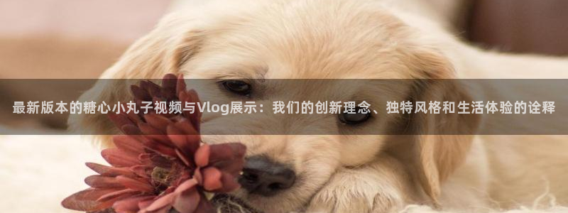 糖心vlog大全:最新版本的糖心小丸子视