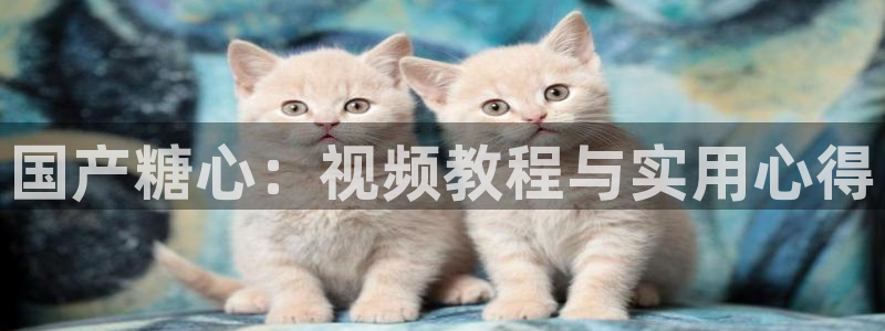 糖心vlog评价:国产糖心:视频教程与实