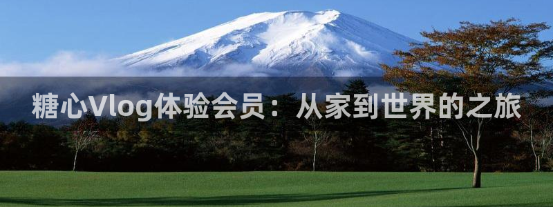 vlog糖心柚子猫视频:糖心Vlog体验