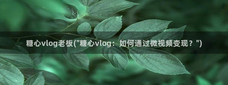 糖心vlog旅途:糖心vlog老板(\