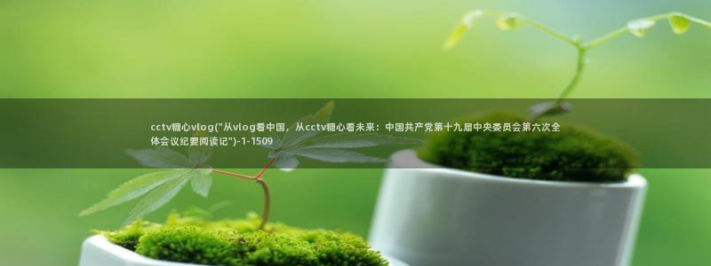 糖心vlog百度云盘:cctv糖心vlo