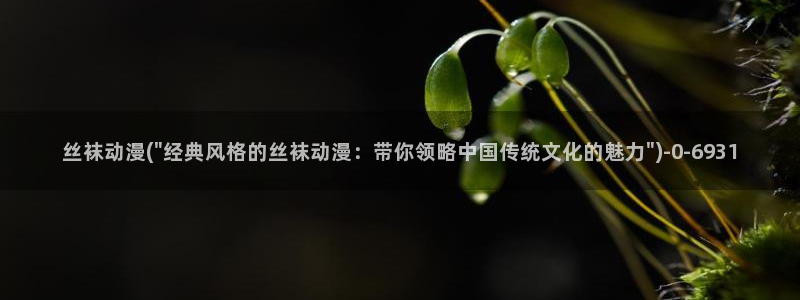 18禁动漫:丝袜动漫(\