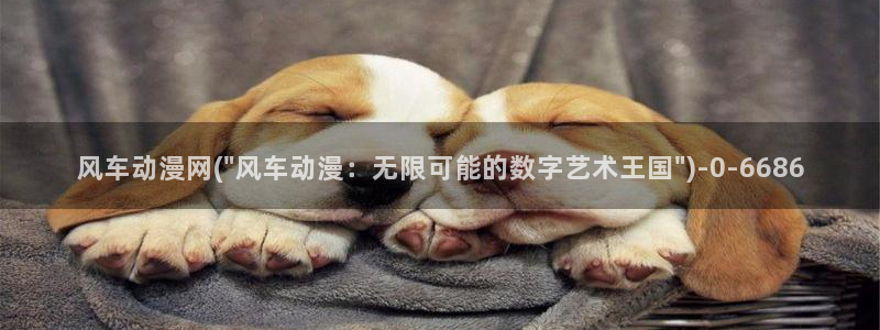 yy动漫:风车动漫网(\