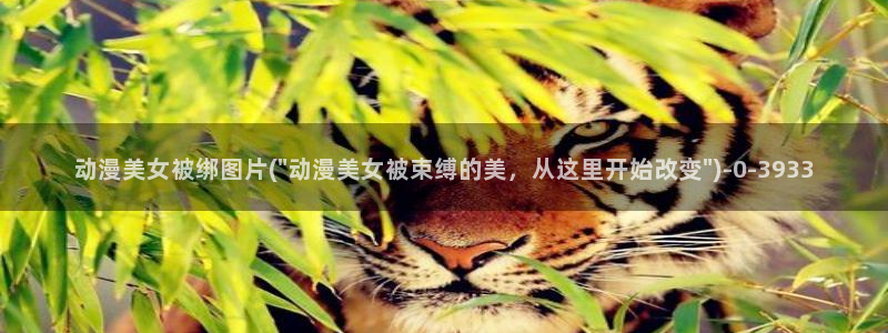 电影动漫:动漫美女被绑图片(\