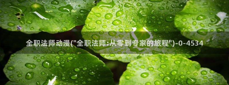 妖精动漫:全职法师动漫(\
